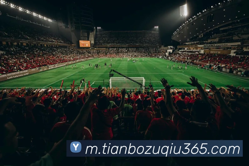 天博体育APP 封面图